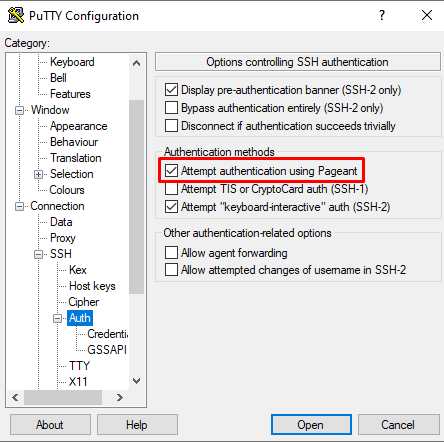 Ensure Attempt authentication using Pageant is checked.